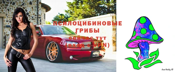 эйфоретик Абинск