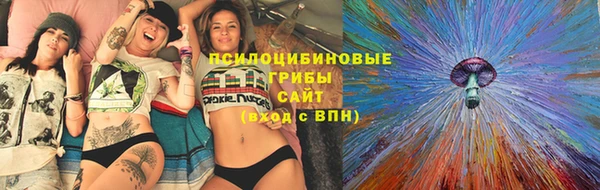 эйфоретик Абинск