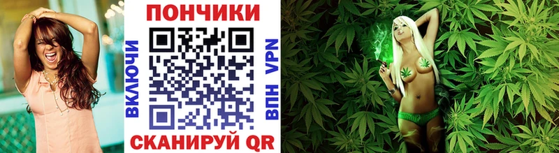 shop официальный сайт  купить наркотики сайты  OMG tor  Урус-Мартан  Шишки марихуана планчик 